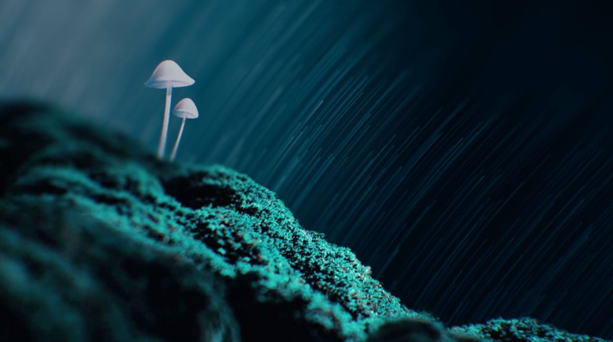 The Unlimited Sciences Story: A Message From Our Founders