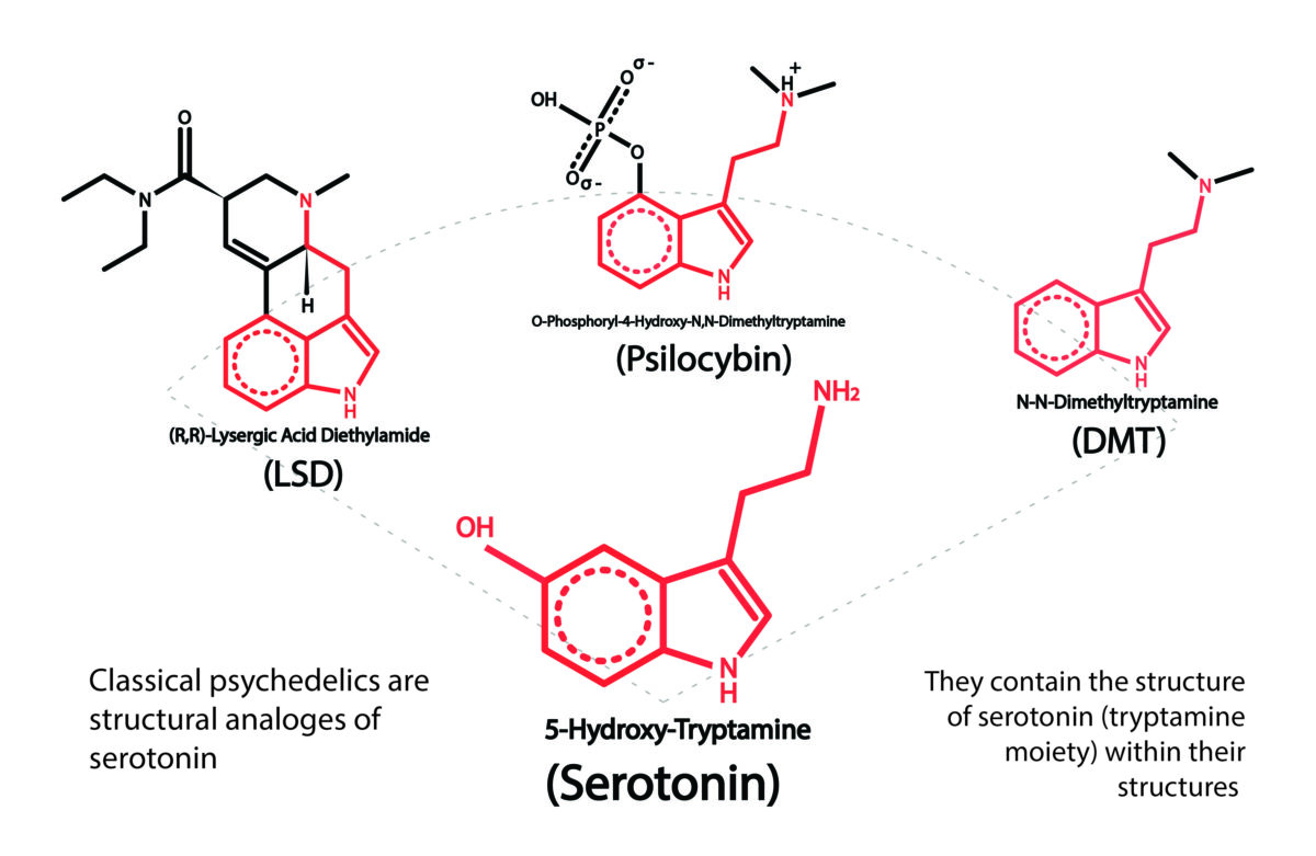 Correlates of Ego Dissolution on Classical Psychedelics (5HT2A Agonists)