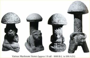 history of psychedelic mushrooms