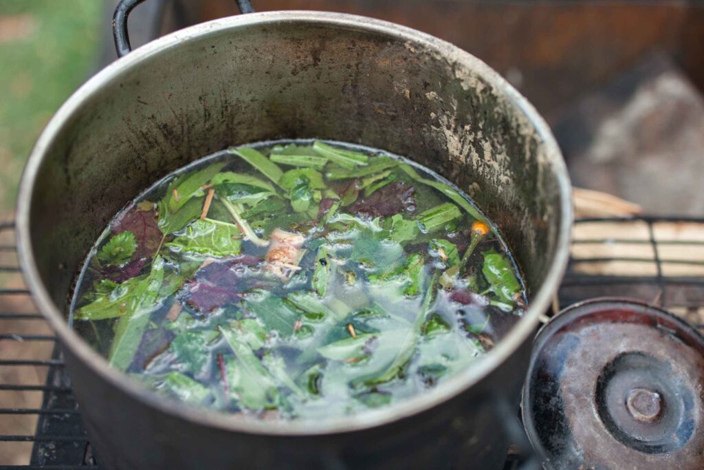 ayahuasca brew in a pot