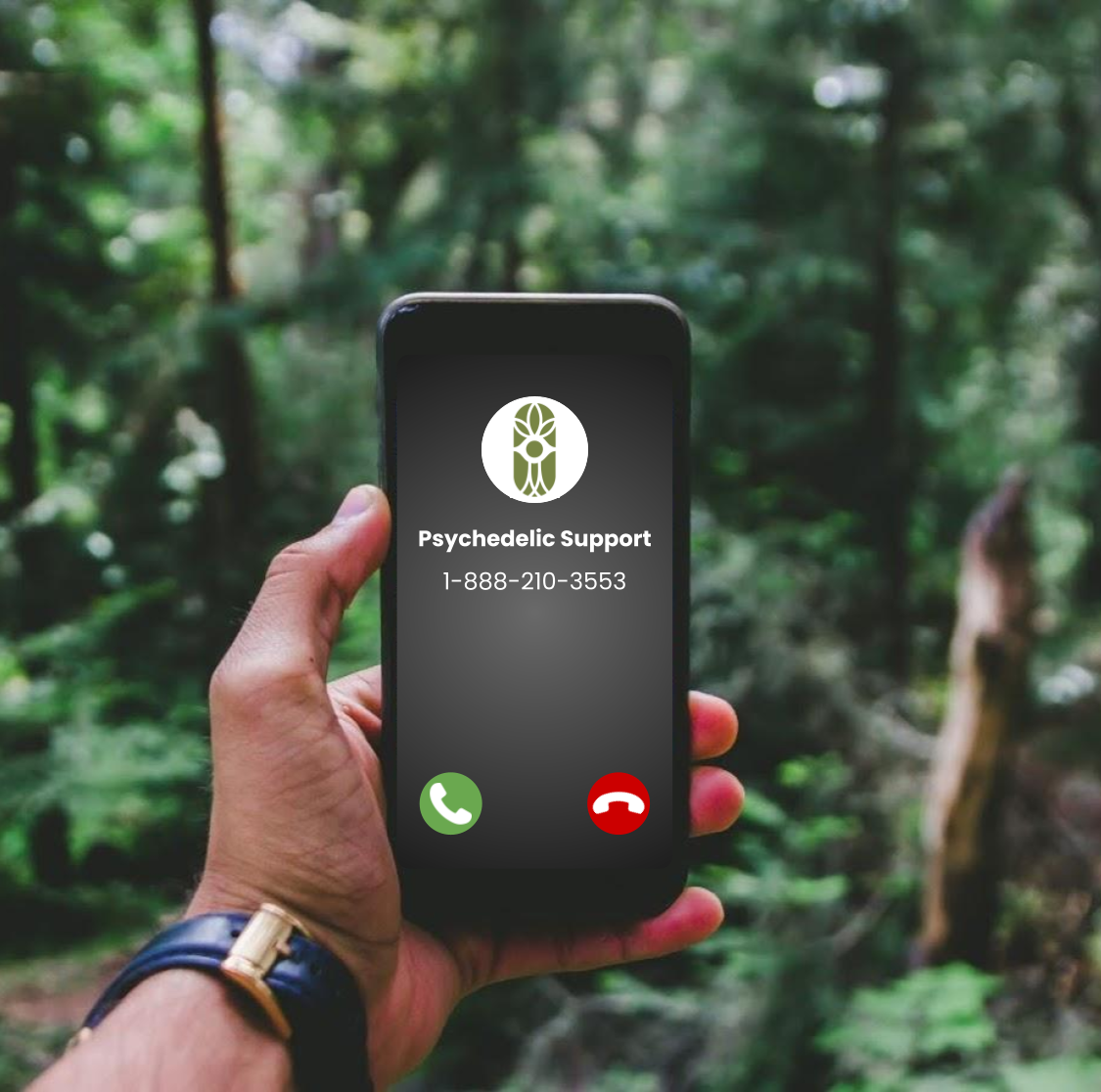 hand holding a phone with the unlimited sciences info line in the woods