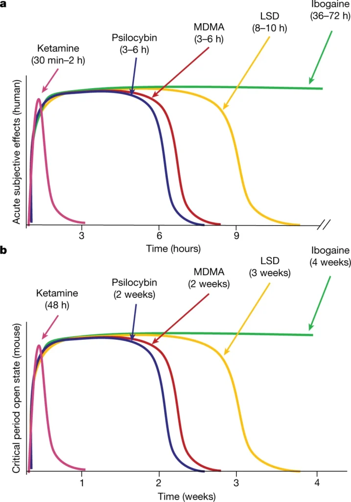 graphs of critical periods and subjective effects of psychedelics