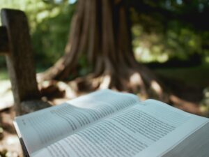 book open in front of a tree