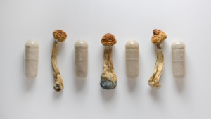 psilocybin capsules