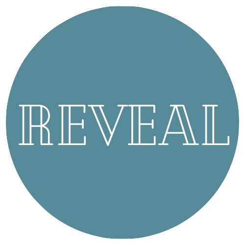 Reveal logo