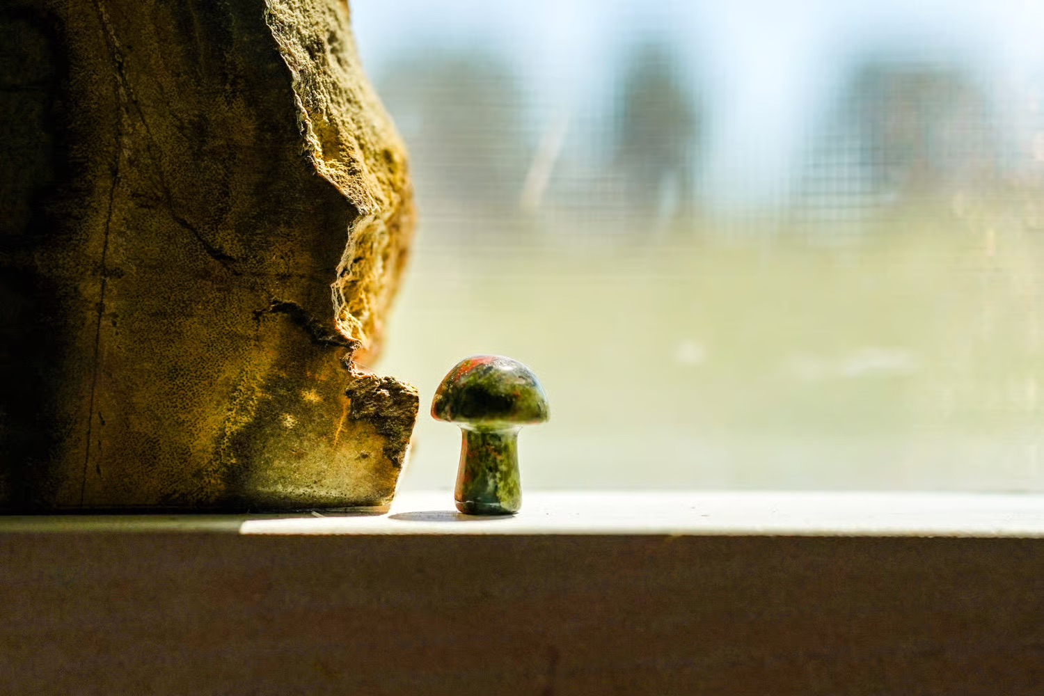 Stressed Out, Busy Moms Say Microdosing Mushrooms Makes Life Easier and Brighter. Researchers CautionThat They Are ‘Experimenting on Themselves’
