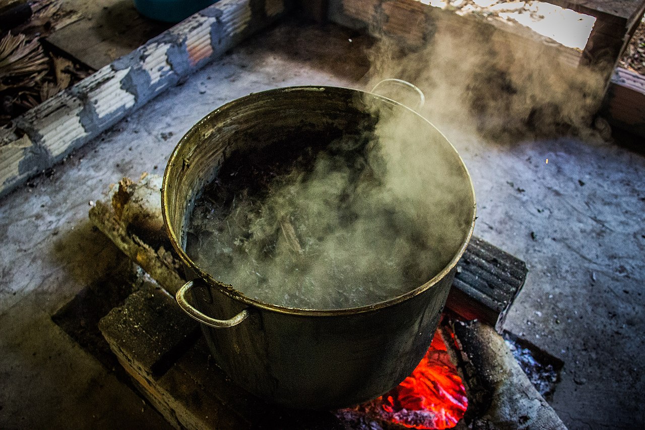 Can Ayahuasca Help to Heal Refugees’ Trauma?