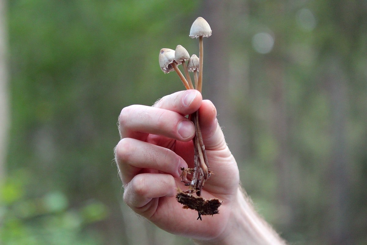Using Psilocybin in Naturalistic Settings Shows Lasting Results