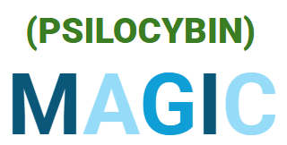 Magic Mushroom Interaction Checker